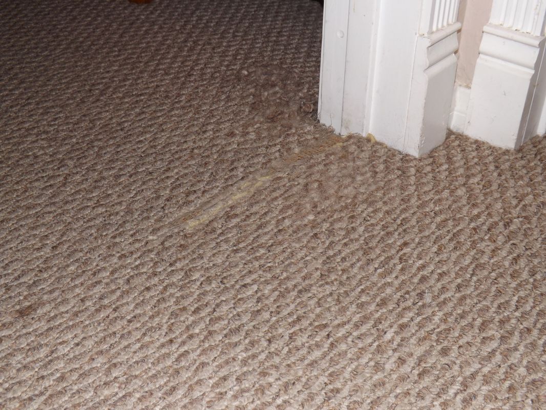 Does your carpet look like this?